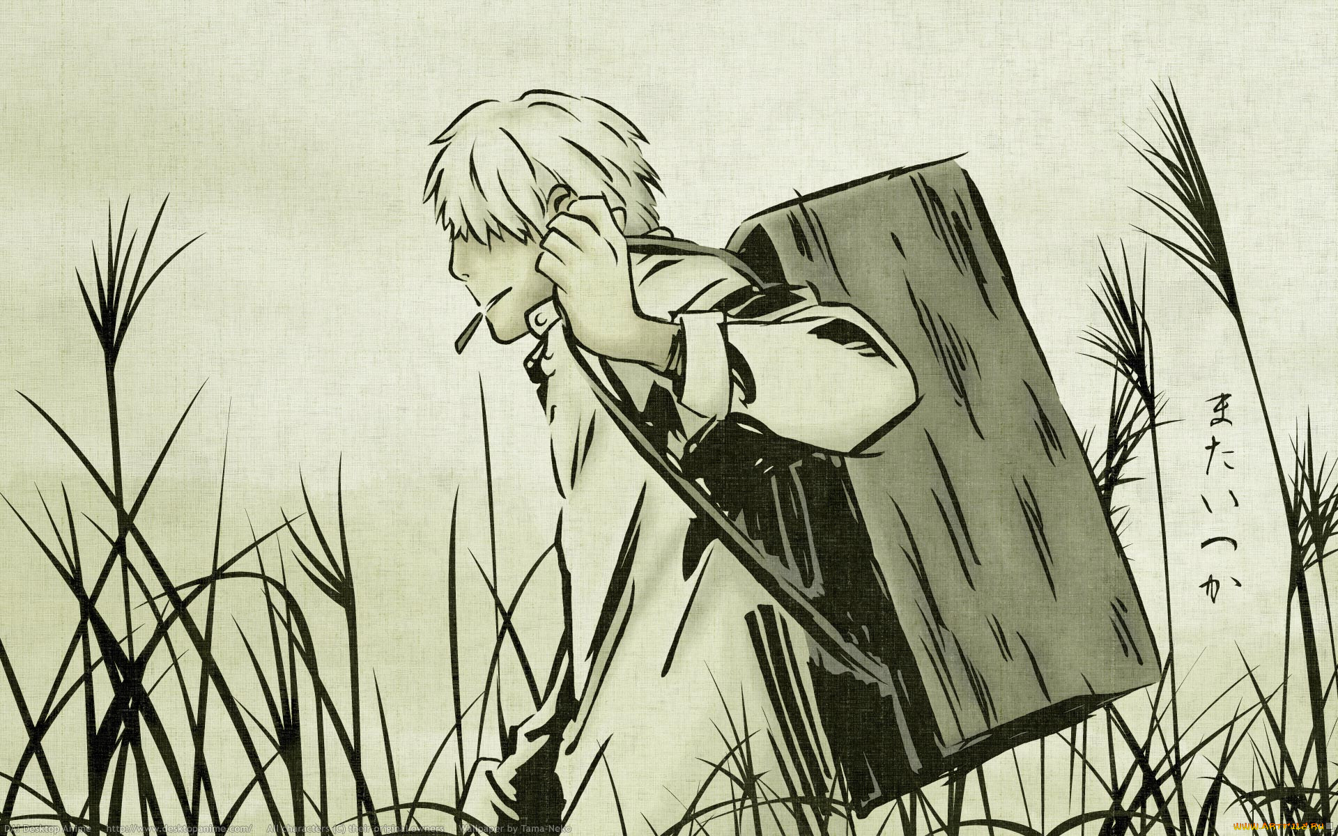 , mushishi, ginko